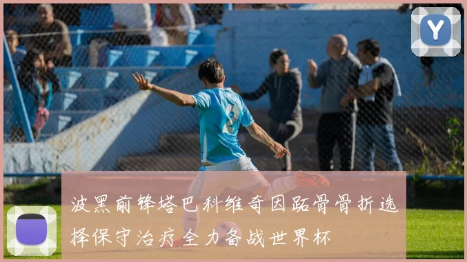 波黑前锋塔巴科维奇因跖骨骨折选择保守治疗全力备战世界杯